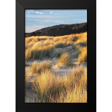 Dune Grass and Beach III Black Modern Wood Framed Art Print by Frates, Dennis