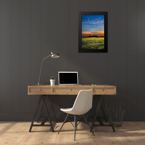 Shadows at Sunset I Black Modern Wood Framed Art Print by Celebrate Life Gallery