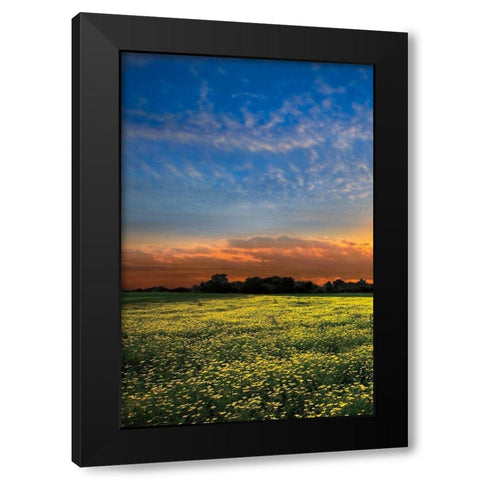 Shadows at Sunset I Black Modern Wood Framed Art Print by Celebrate Life Gallery