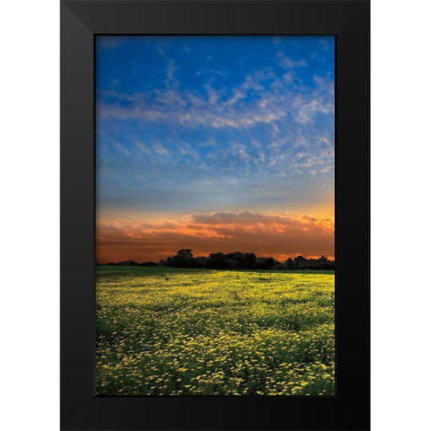 Shadows at Sunset I Black Modern Wood Framed Art Print by Celebrate Life Gallery