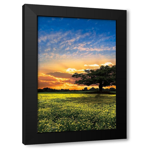 Shadows at Sunset II Black Modern Wood Framed Art Print with Double Matting by Celebrate Life Gallery