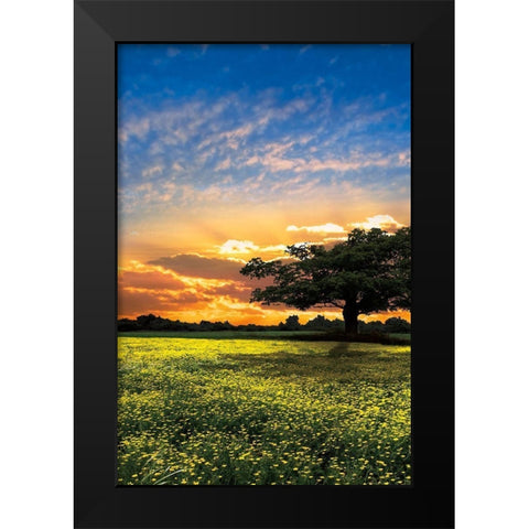 Shadows at Sunset II Black Modern Wood Framed Art Print by Celebrate Life Gallery