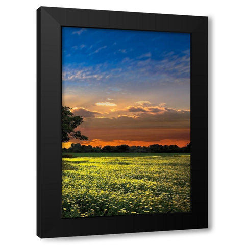 Shadows at Sunset III Black Modern Wood Framed Art Print by Celebrate Life Gallery