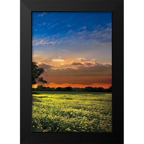 Shadows at Sunset III Black Modern Wood Framed Art Print by Celebrate Life Gallery