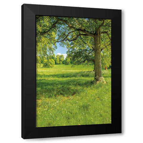 Greenest Pastures I Black Modern Wood Framed Art Print with Double Matting by Frank, Assaf