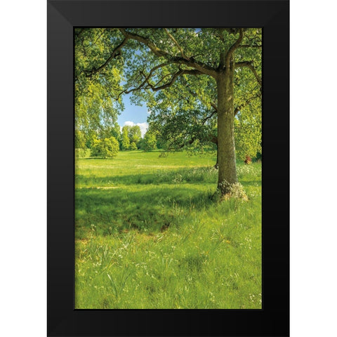 Greenest Pastures I Black Modern Wood Framed Art Print by Frank, Assaf