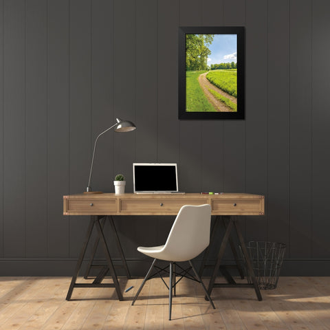 Greenest Pastures II Black Modern Wood Framed Art Print by Frank, Assaf
