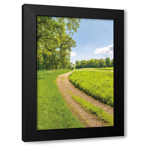 Greenest Pastures II Black Modern Wood Framed Art Print by Frank, Assaf