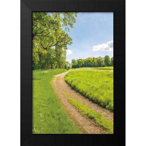 Greenest Pastures II Black Modern Wood Framed Art Print by Frank, Assaf