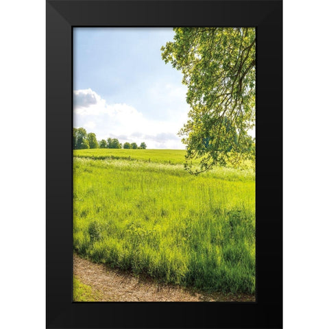 Greenest Pastures III Black Modern Wood Framed Art Print by Frank, Assaf