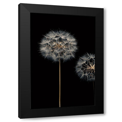 Make A Wish I Black Modern Wood Framed Art Print by Frank, Assaf