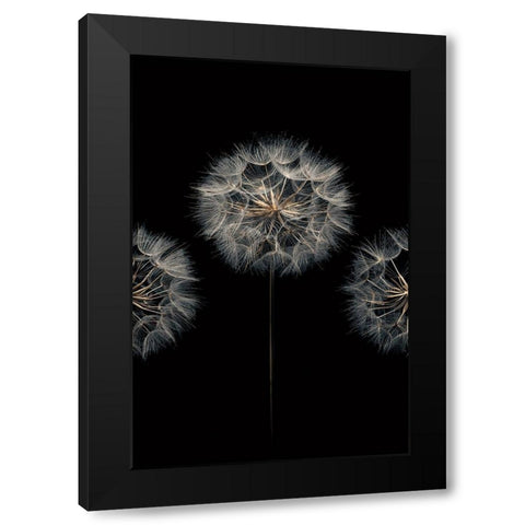 Make A Wish II Black Modern Wood Framed Art Print by Frank, Assaf