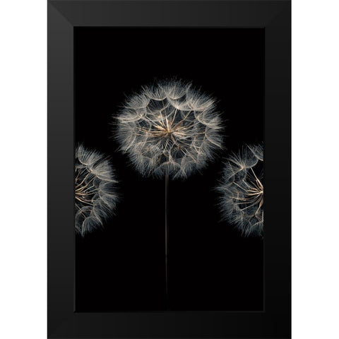 Make A Wish II Black Modern Wood Framed Art Print by Frank, Assaf