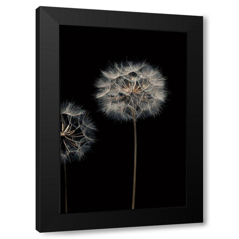 Make A Wish III Black Modern Wood Framed Art Print with Double Matting by Frank, Assaf