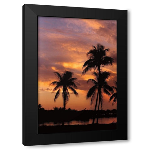 Tropical Sunsets A Black Modern Wood Framed Art Print by Jones, Mike