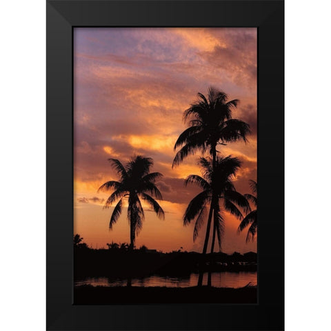 Tropical Sunsets A Black Modern Wood Framed Art Print by Jones, Mike