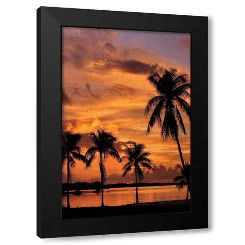 Tropical Sunsets B Black Modern Wood Framed Art Print with Double Matting by Jones, Mike
