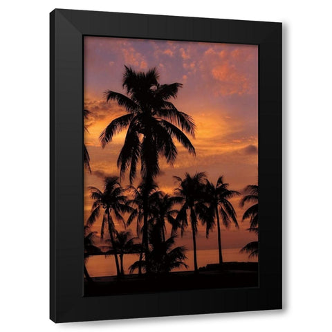 Tropical Sunsets C Black Modern Wood Framed Art Print by Jones, Mike