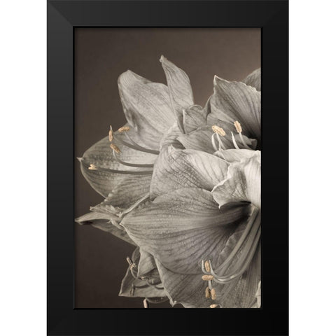 Grand Floral I Black Modern Wood Framed Art Print by Frank, Assaf