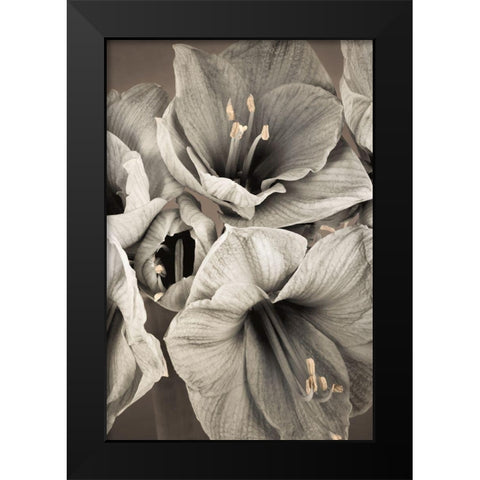 Grand Floral II Black Modern Wood Framed Art Print by Frank, Assaf