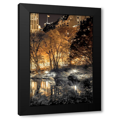 Central Park Glow III Black Modern Wood Framed Art Print by Frank, Assaf