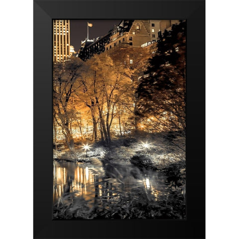 Central Park Glow III Black Modern Wood Framed Art Print by Frank, Assaf