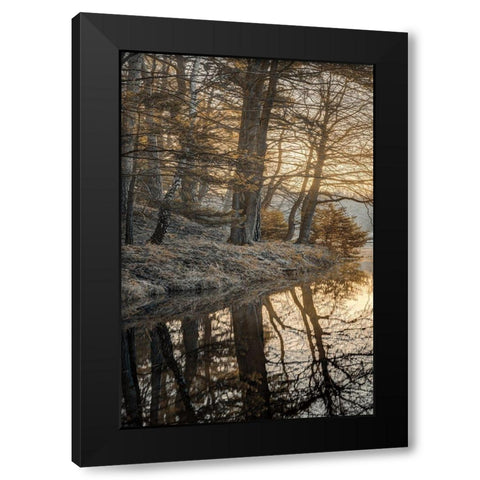 Frosty Morning I Black Modern Wood Framed Art Print by Frank, Assaf