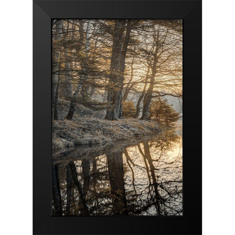 Frosty Morning I Black Modern Wood Framed Art Print by Frank, Assaf
