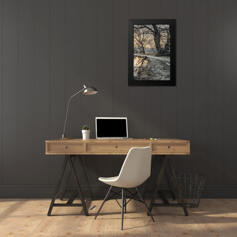 Frosty Morning III Black Modern Wood Framed Art Print by Frank, Assaf
