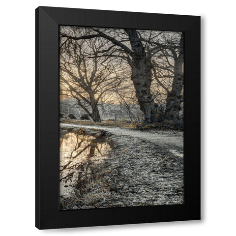 Frosty Morning III Black Modern Wood Framed Art Print with Double Matting by Frank, Assaf