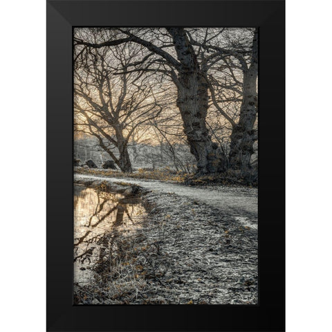 Frosty Morning III Black Modern Wood Framed Art Print by Frank, Assaf