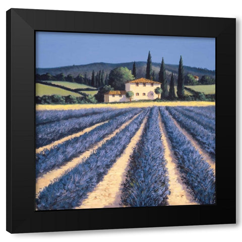 Colors of Summer Black Modern Wood Framed Art Print by Short, David