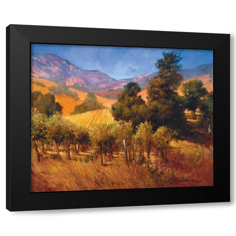 Southern Vineyard Hillside Black Modern Wood Framed Art Print with Double Matting by Craig, Philip