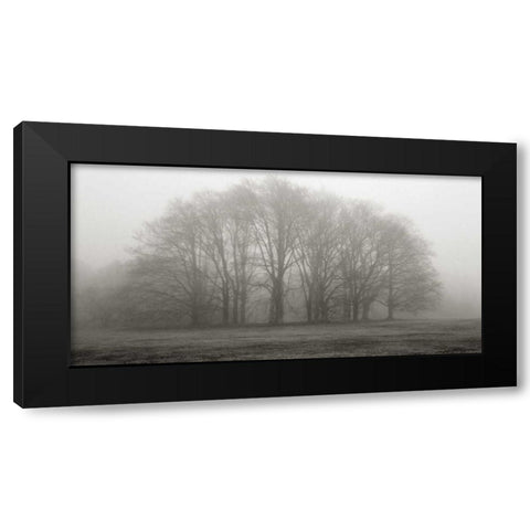 Gathering Trees Black Modern Wood Framed Art Print with Double Matting by Iacobellis, Michael