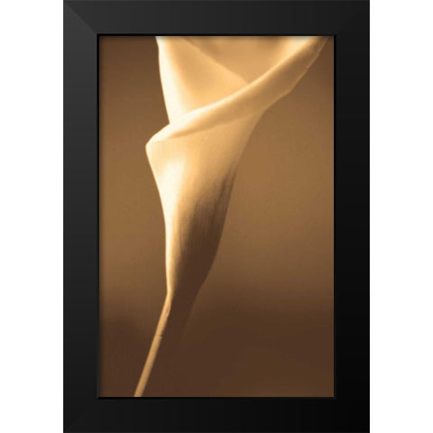 Enlightenment Black Modern Wood Framed Art Print by Ryan, Cinzia