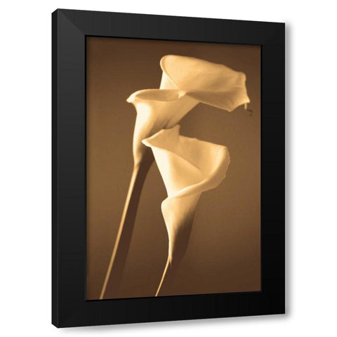 Enlightenment Black Modern Wood Framed Art Print by Ryan, Cinzia