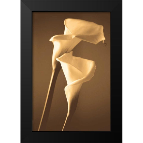 Enlightenment Black Modern Wood Framed Art Print by Ryan, Cinzia