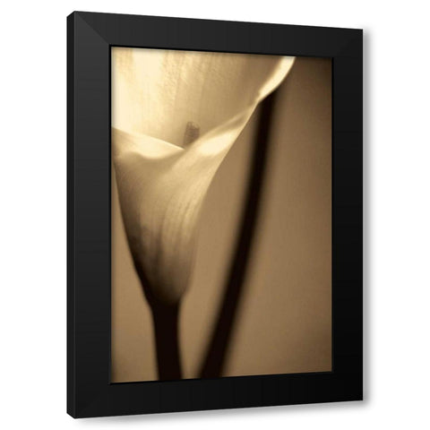 Divinity Black Modern Wood Framed Art Print by Ryan, Cinzia