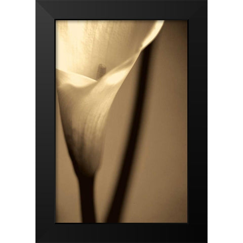 Divinity Black Modern Wood Framed Art Print by Ryan, Cinzia