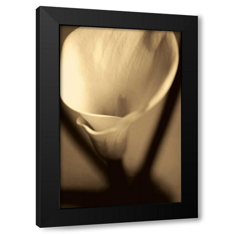 Divinity Black Modern Wood Framed Art Print by Ryan, Cinzia