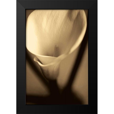Divinity Black Modern Wood Framed Art Print by Ryan, Cinzia