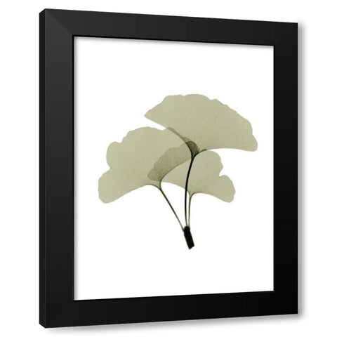 Ginko I Black Modern Wood Framed Art Print with Double Matting by ACEE