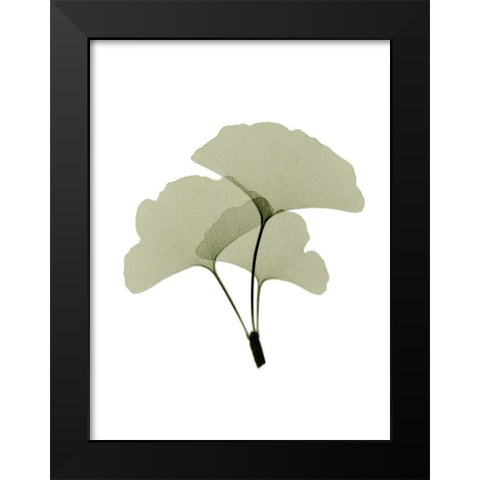Ginko I Black Modern Wood Framed Art Print by ACEE