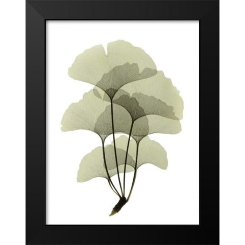 Ginko II Black Modern Wood Framed Art Print by ACEE