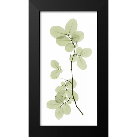 Myrtle Tree Black Modern Wood Framed Art Print by ACEE