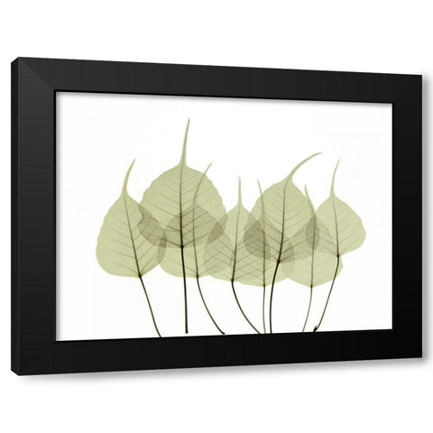 Woodlands I Black Modern Wood Framed Art Print with Double Matting by ACEE