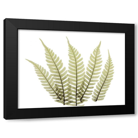 Woodlands II Black Modern Wood Framed Art Print with Double Matting by ACEE