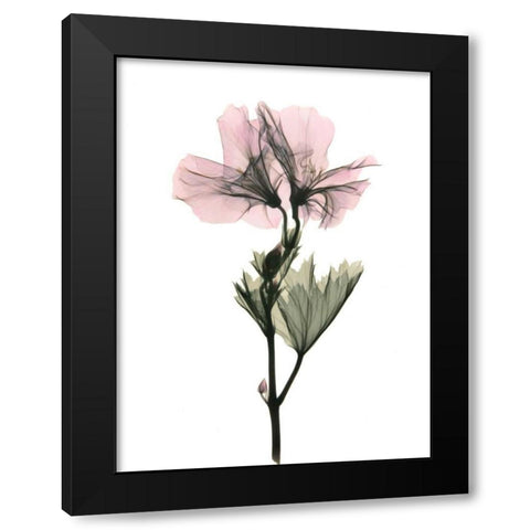 Geranium Black Modern Wood Framed Art Print by ACEE