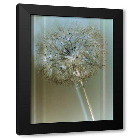 Flaura I Black Modern Wood Framed Art Print by Blake, W.