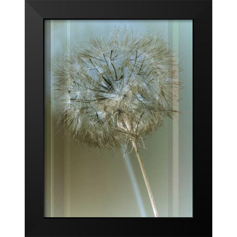Flaura I Black Modern Wood Framed Art Print by Blake, W.
